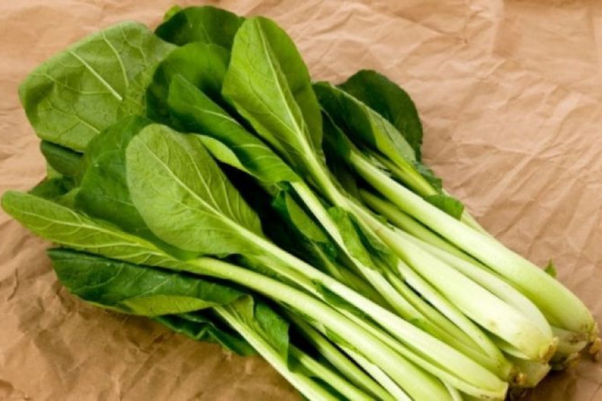 Sawi Hijau Banjarsari